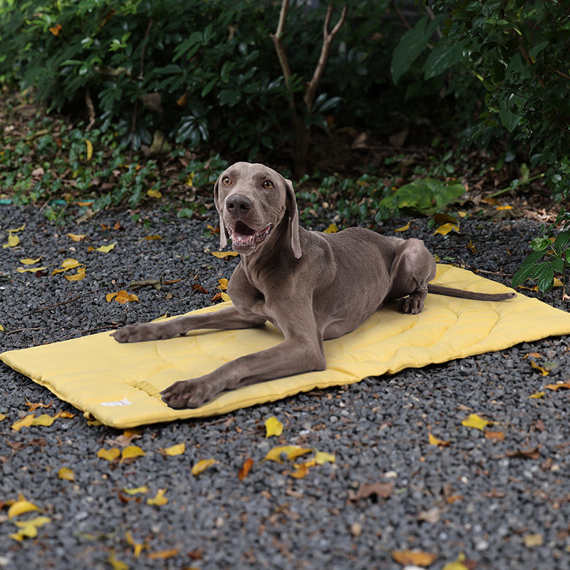 Przenośne mata dla zwierząt do – Outdoor Camping Mat Waterproof recenzja i cena
