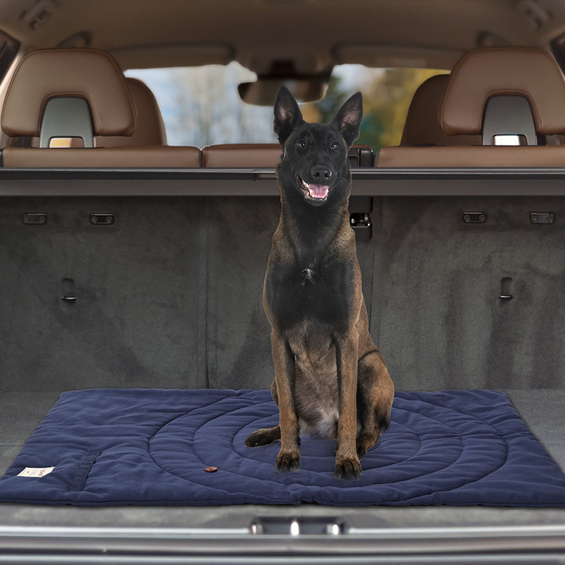 Przenośne mata dla zwierząt do – Outdoor Camping Mat Waterproof recenzja i cena